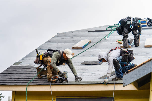Professional Gutter Installation technician working in Dewitt, VA